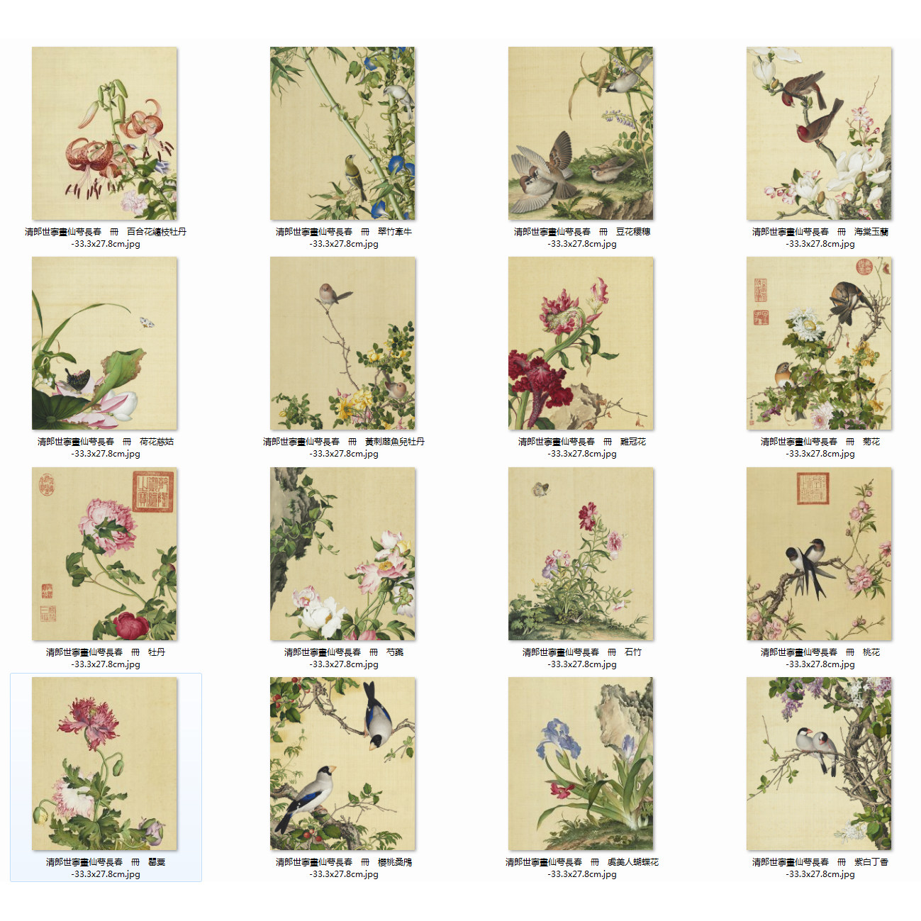 清郎世宁仙萼长春册国画花鸟一比一复制品字画绢画客厅装饰画心