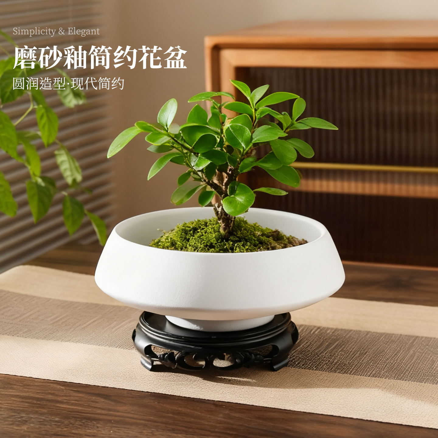 禅意蕨类苔藓球花盆清仓捡漏大号陶瓷家用大口径盆景水培花盆特价