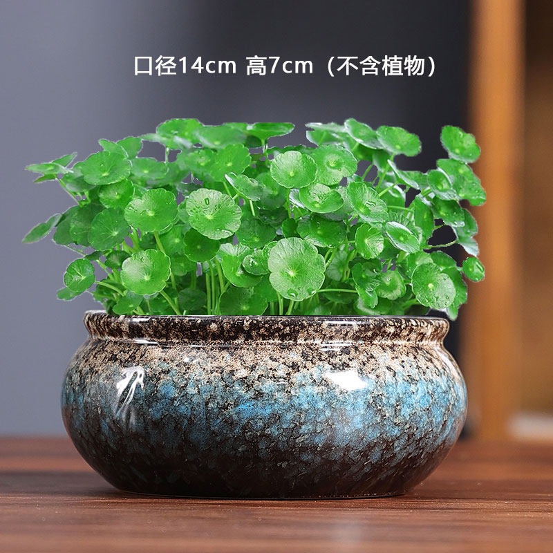 02款铜钱草专用盆水仙睡莲无孔多肉大号陶瓷水培器皿家用花盆清仓