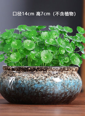 02款铜钱草专用盆水仙睡莲无孔多肉大号陶瓷水培器皿家用花盆清仓