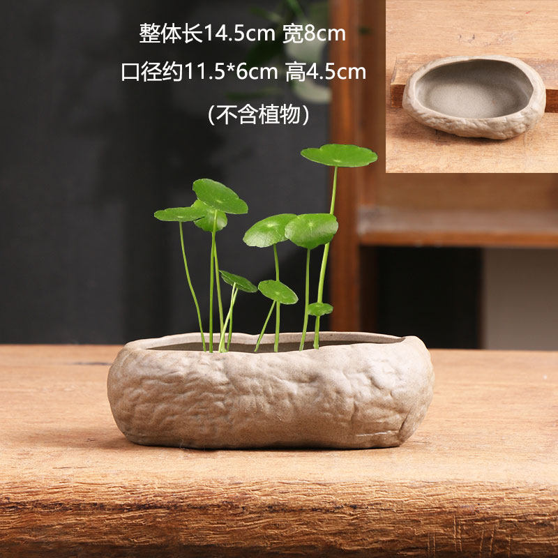 仿石头无孔铜钱草专用大小陶瓷花盆家用盆景水仙水培器皿清仓捡漏