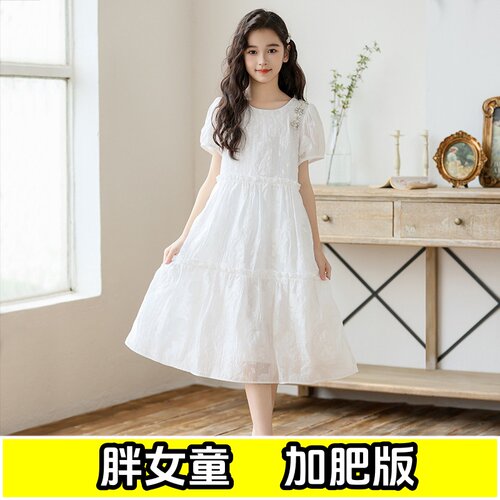 胖女童短袖连衣裙公主夏加肥