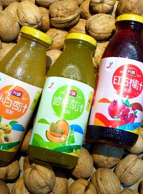 新疆特产升旗果汁饮料果汁含量50%小白杏汁石榴汁哈密瓜汁桑葚汁