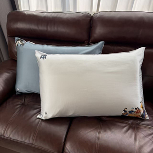 瑞帛家纺 单面100%桑蚕丝真丝枕套反面天丝枕头套单人丝滑拉链
