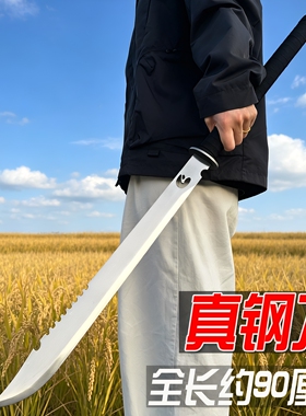 高锰钢刀剑中华传统古风武术练习大刀可拆卸加长冷兵器摆件未开刃