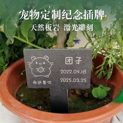 宠物定制纪念板岩插牌