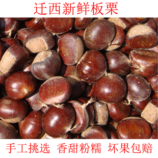25年迁西板栗生新鲜  河北唐山大粒油栗小毛栗子农家特产5斤包邮