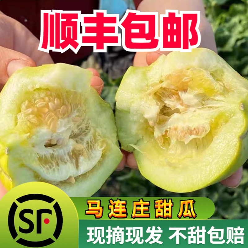 马连庄甜瓜香瓜当季新鲜水果甜宝香瓜甜瓜绿宝非羊角蜜罐甜脆香甜