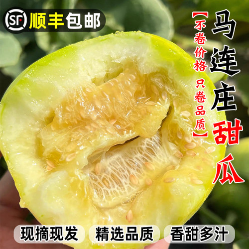 【顺丰包邮】正宗马连庄甜瓜莱西甜瓜甜宝甜瓜脆甜孕妇新鲜水果
