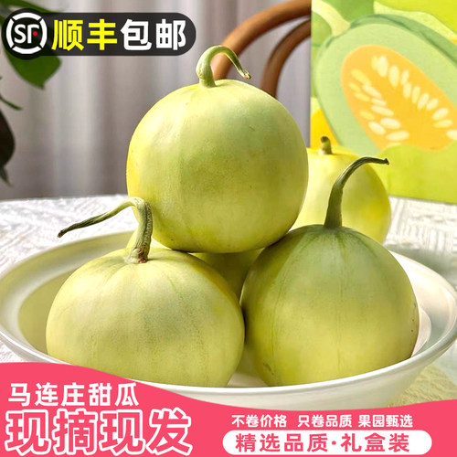 【顺丰】正宗马连庄甜瓜山东莱西甜瓜甜宝甜瓜脆甜孕妇新鲜水果