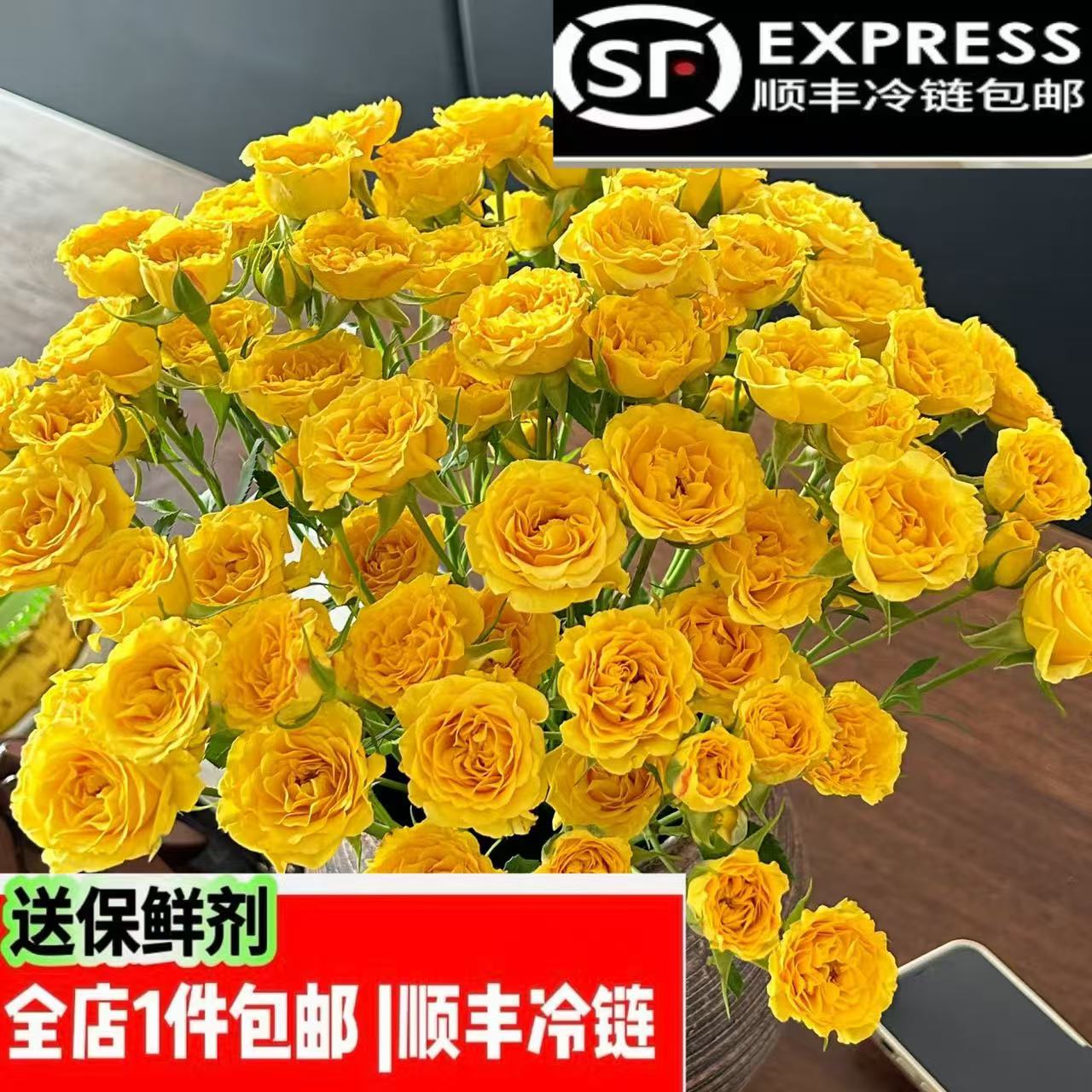梦幻芭比多头玫瑰云南基地直发