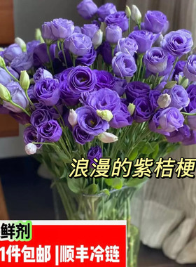 紫色洋桔梗花期长无刺玫瑰顺丰