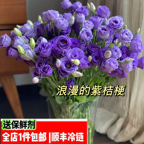 紫色洋桔梗花期长无刺玫瑰顺丰
