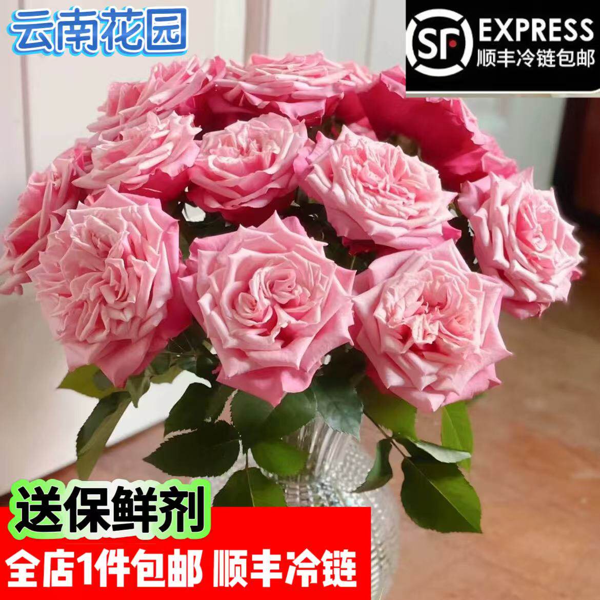 新品种玫瑰闺蜜云南基地直发顺丰冷链包邮送人花束送闺蜜花水养花