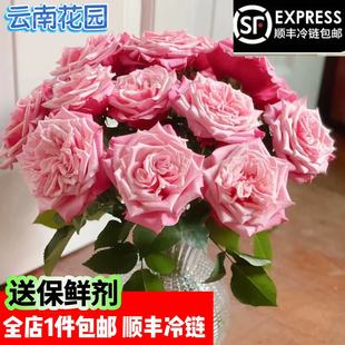 送人花束送闺蜜花水养花 包邮 新品 种玫瑰闺蜜云南基地直发顺丰冷链