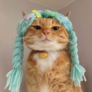 猫咪假发麻花辫毛线帽宠物头套拍照道具可爱搞怪COS帽子搞笑配饰
