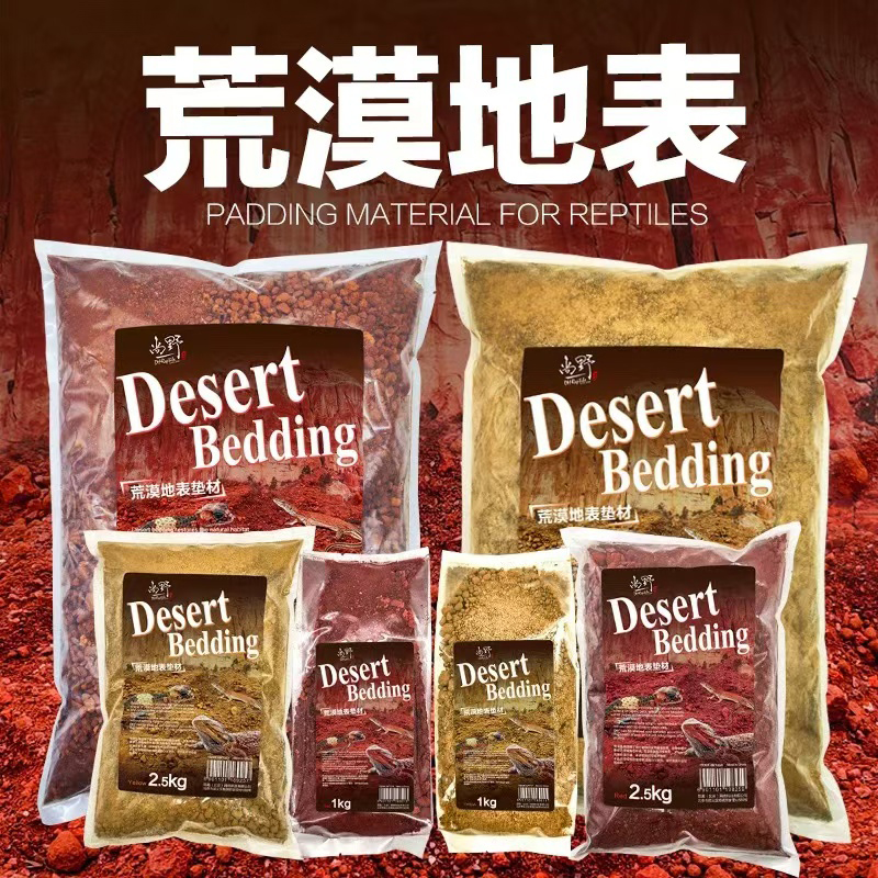 荒漠地表垫材爬宠沙鬃狮蜥蜴焉纹
