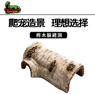 爬虫仿真桦木躲避洞穴爬宠箱守宫蜥蜴蛇爬宠助蜕皮饲养箱造景装饰