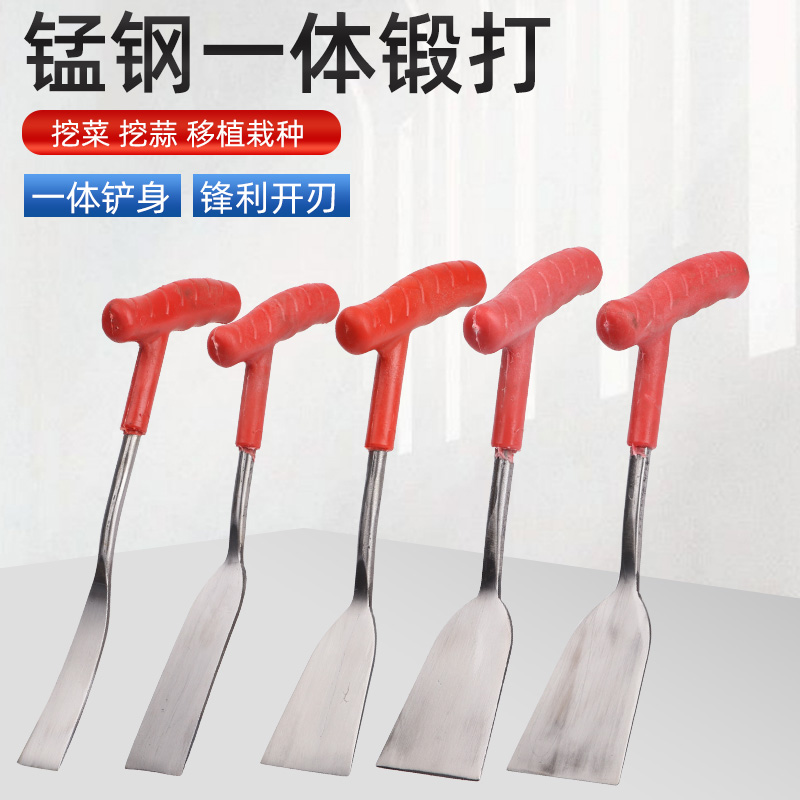 挖菜铲子园艺铲大蒜铲加厚铲子