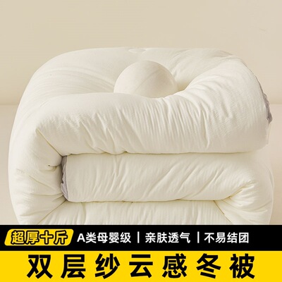 高质量双层纱被芯四季10斤冬被子