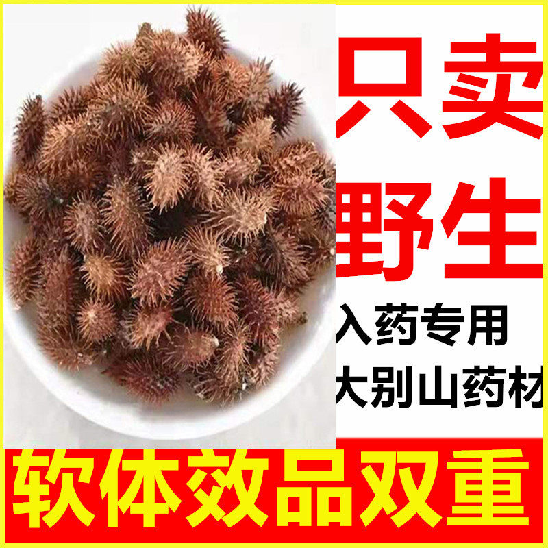 苍耳子500g野生新货天然无添加带刺毛苍子泡脚鼻塞喷嚏中药材包邮