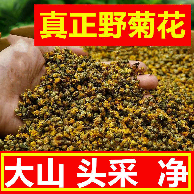 大别山正宗野菊花中药材 干野生天然胎菊小野菊花非特级野菊花茶