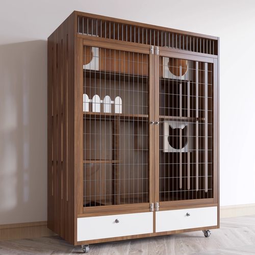 定制类专拍链接