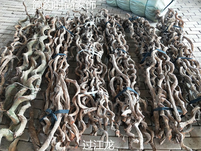 越南进口过江龙干支样板房藤条