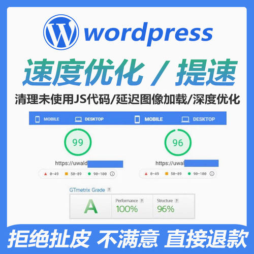 加速提升pageSpeedIns排名