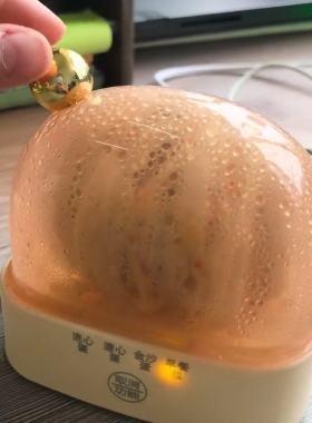 迷你自动断电蒸蛋器煮早餐