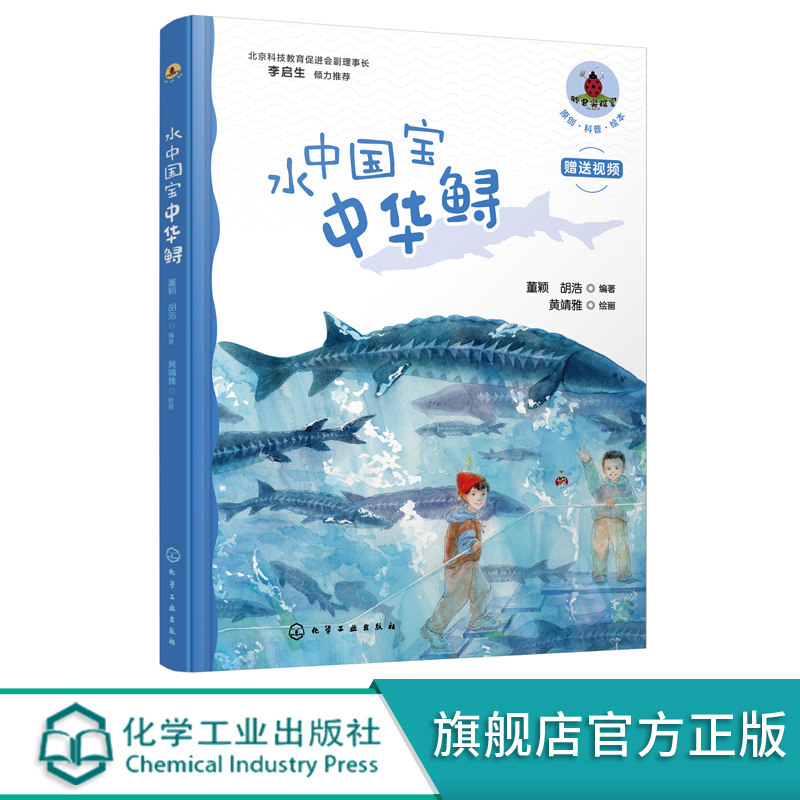 水中国宝中华鲟 6-9-12岁儿童原创科普绘本 美绘典藏版 儿童穿越奇幻