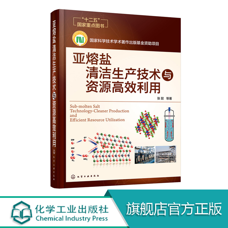 亚熔盐清洁生产技术与资源高效利用亚熔盐清洁生产资源再生工业固废过程制造清洁工艺化学工程能源工程高等学校教材