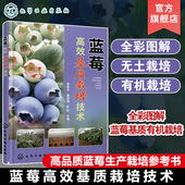 曾其龙 蓝莓基质栽培 现状与发展蓝莓生物学特性 蓝莓高效基质栽培技术 全彩图解蓝莓基质有机栽培 蓝莓专业技术人员科研人员参考