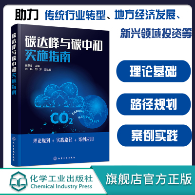 正版 碳达峰与碳中和实施指南 碳排放新能源发展 传统能源行业转型 新能源书籍能源体态思路 碳资源利用 节能减排绿色环保资源利用