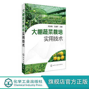 栽培知识指南 大棚蔬菜栽培实用技术 农业温室大棚技术蔬菜病虫害图谱与防治书 现代无公害蔬菜种植管理关键技术 蔬菜种植书籍大全