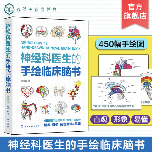 神经科医生的手绘临床脑书 徐桂兴 颅脑解剖神经系统生理与病理 低年资医生神经科医师及医学生参考书籍 临床神经科医生指导书