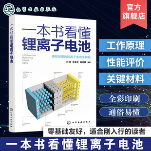 一本书看懂锂离子电池 锂离子电池关键性能参数 性能测试方法与数据解读 氧化物型正极材料结构基础 锂离子电池领域的入门参考书籍