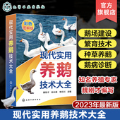 鹅场经营管理 现代实用养鹅技术大全 鹅病诊断鹅场疾病防治 养鹅关键技术一本通 鹅场经营者及广大养鹅专业户阅读参考 魏刚才