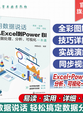 用数据说话 从Excel到Power BI数据处理 分析 可视化一本通 Excel+Power BI联合 轻松搞定数据分析 Excel及PowerBI入门参考书籍