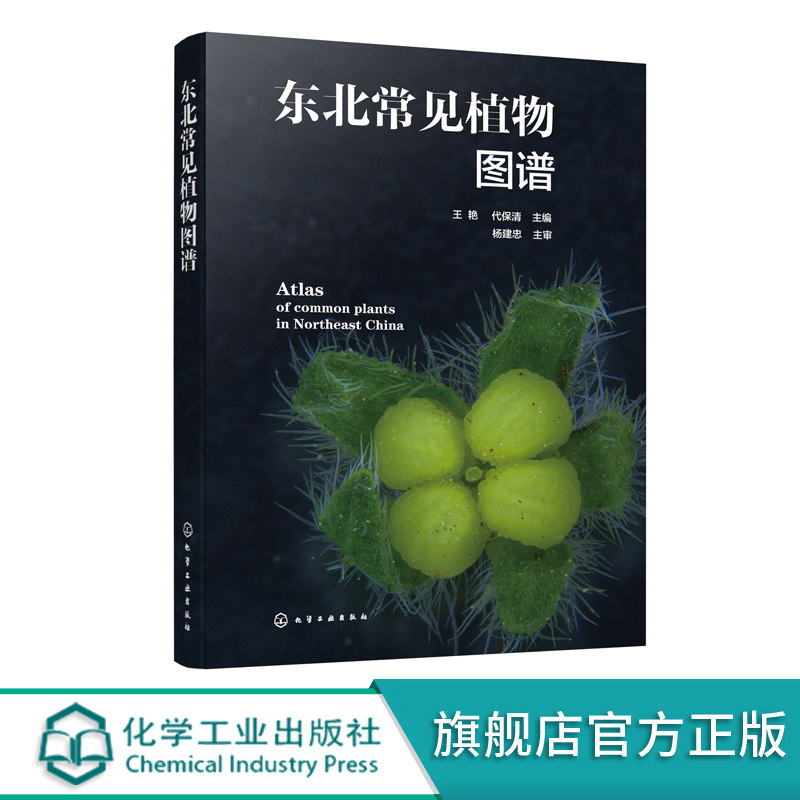 东北常见植物图谱 野外鉴别方法 植物的奥秘植物志 科种属种检索表速查一本通 青少年植物爱好者自然科普百科实用教程图鉴手册书籍