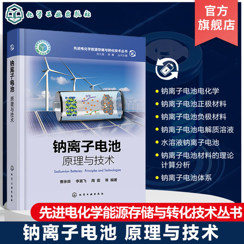 先进电化学能源存储与转化技术丛书 钠离子电池原理与技术 储钠原理 电极材料体系及电解质体系 高等院校化学物理材料等专业参考书