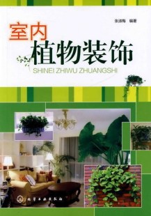 室内植物装 饰