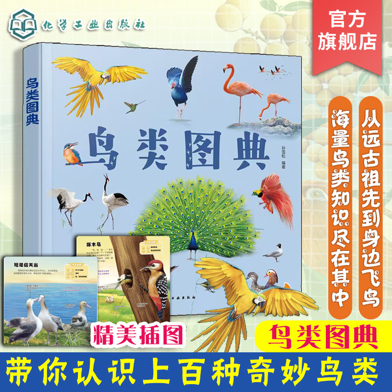 鸟类图典孙雪松儿童科普书