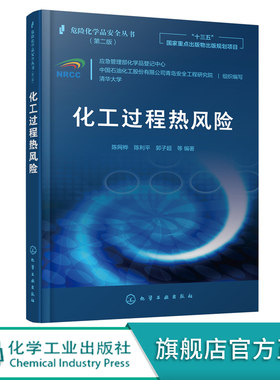 危险化学品安全丛书 化工过程热风险化