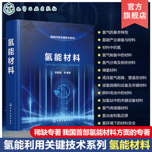 氢能利用关键技术系列 氢能材料 制氢催化剂材料 纯化材料 氢能过程材料 氢能辅助材料 氢气储运材料 氢能源使用研究人员参考书