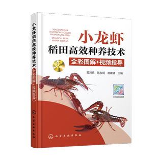 小龙虾稻田高效种养技术全彩图解 视频指导 小龙虾种虾投放幼虾繁育虾苗投放成虾养殖水稻育秧施肥 小龙虾高效养殖技术小龙虾养殖