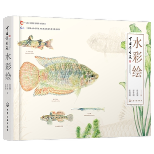 中国原生鱼水彩绘 张国刚 彭作刚 常见原生鱼类精美原创水彩画物种饲养体验等中国原生鱼美艳鉴别鱼种中国小型淡水鱼饲养殖常识书