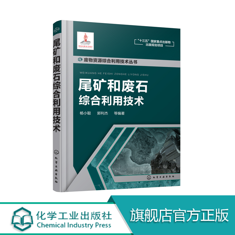 尾矿和废石综合利用技术尾矿再利用废石再利用尾矿再选废物综合利用循环经济尾矿处理废物资源综合利用技术丛书