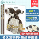 猫咪疾病预防和治疗 宠物大本营名优宠物狗品种图鉴 如何与猫咪相处猫咪健康喂养训练 2册 宠物猫咪护理书籍 名优宠物猫品种图鉴