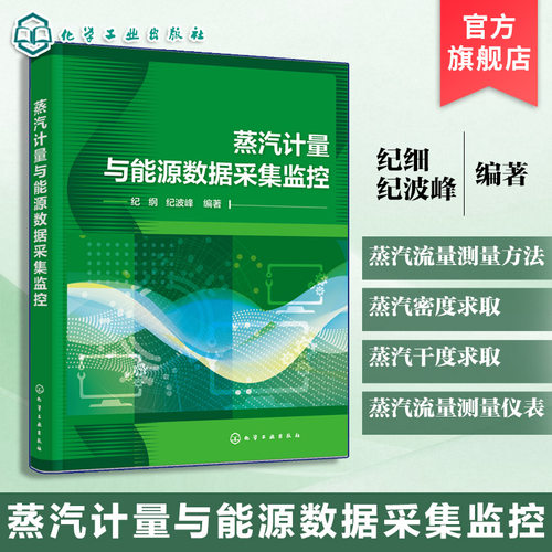蒸汽流量测量仪表及数据采集丛书